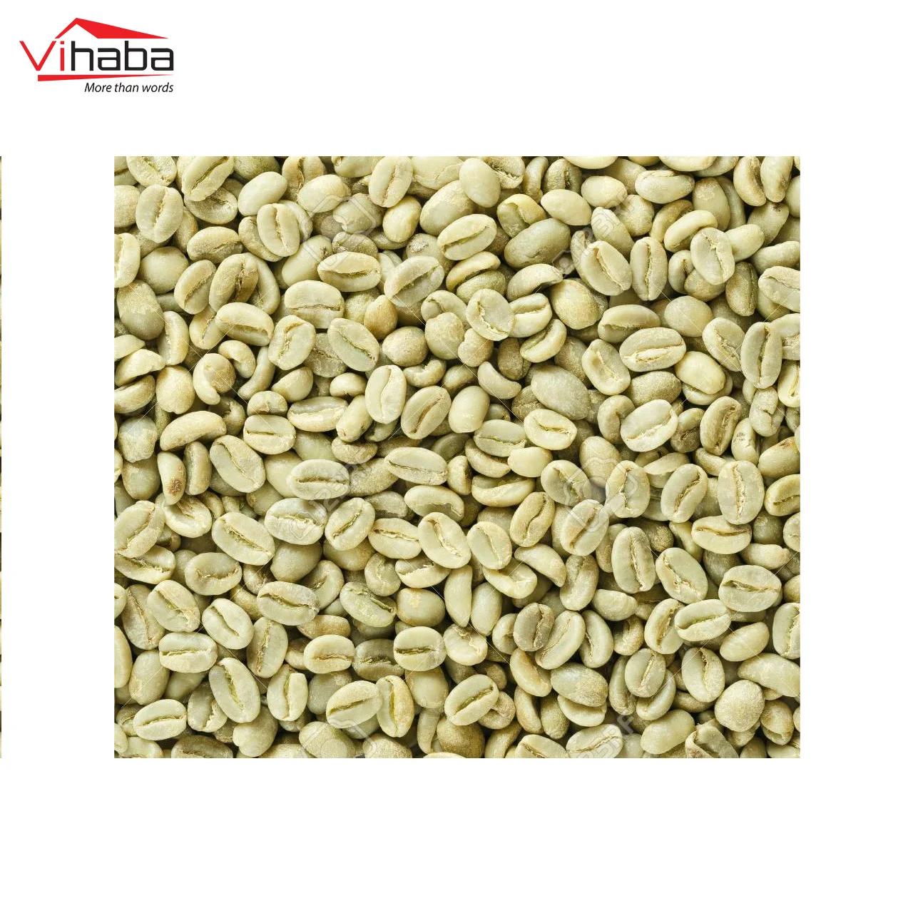 Hot selling coffee beans green green speciality coffee beans energy drink coffee scrub