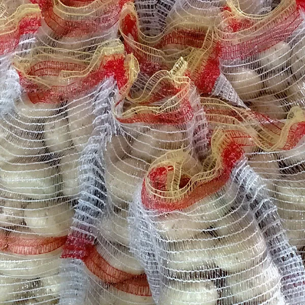 Свежий картофельный завод в Пакистане