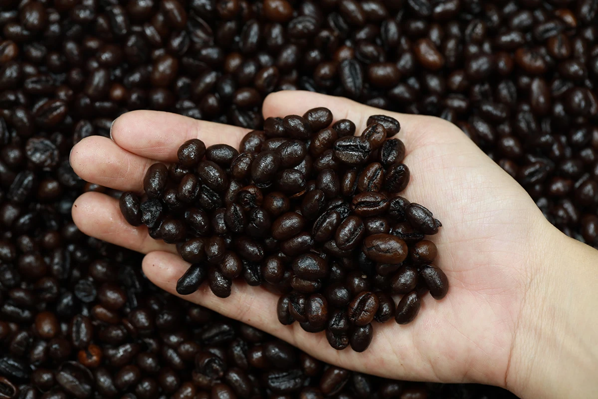 Additional Butter Iodized Salt Ingredient For Brown Culi Roasted Coffee Beans Shipping From Vietnam