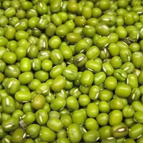 
Green mung bean 