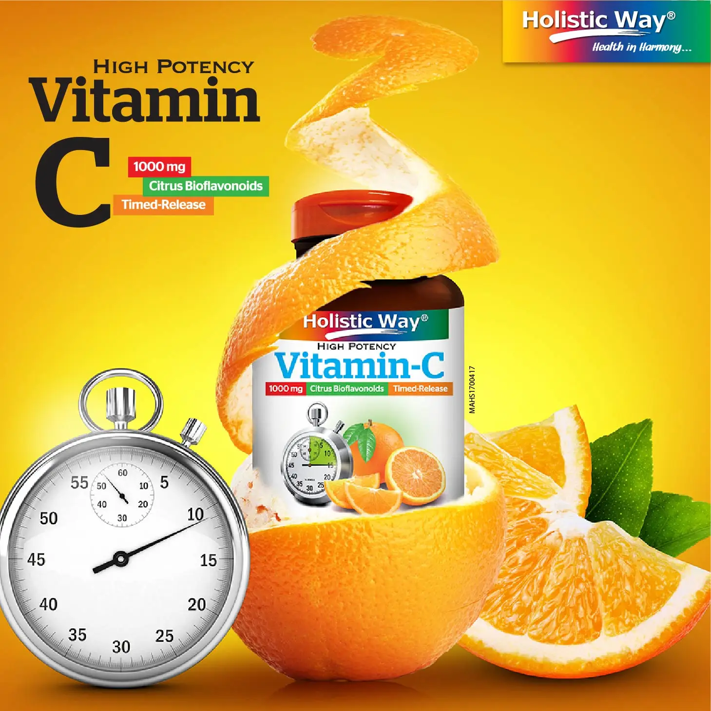 Vitamin-C 1000mg Timed-Release (100 Caplets) Maintain Healthy Capillaries Supplement Holistic Way