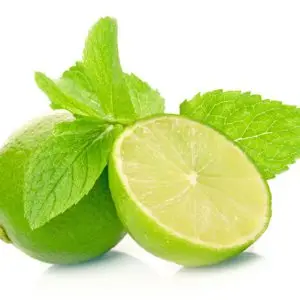 TW6 Best Option Juicy Sour Taste Fresh Seedless Lime Lemon Ready to Export from Vietnam