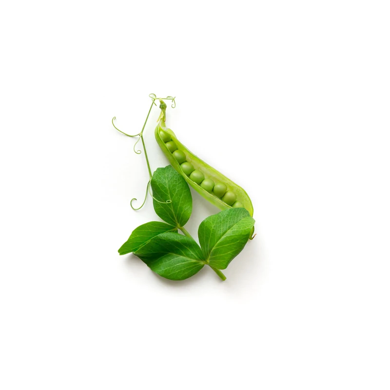 
Whole peas high quality 5000 kg 