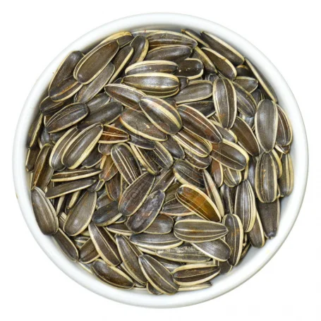 Dried Sunflower Seeds in bulk for export