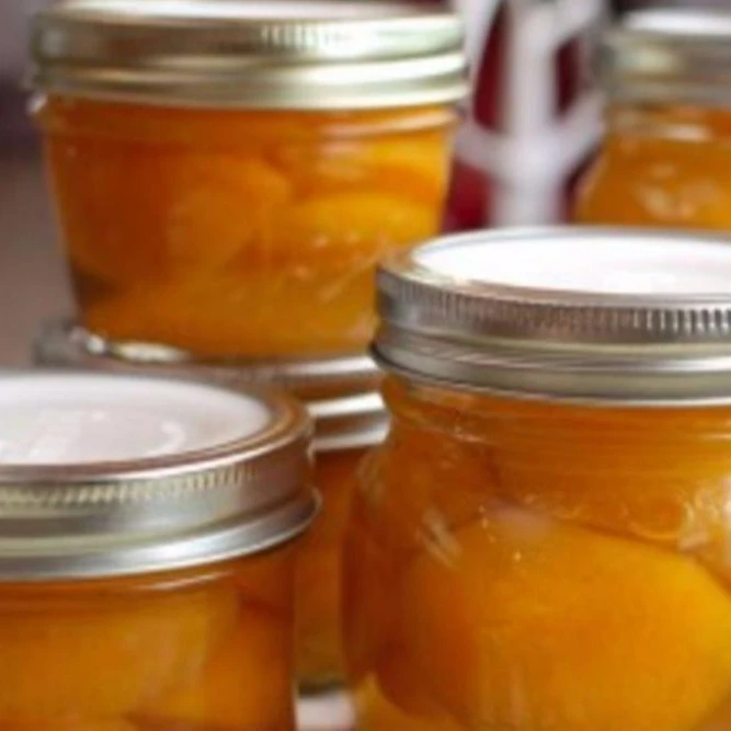 
Canned Apricots in syrup for sale 