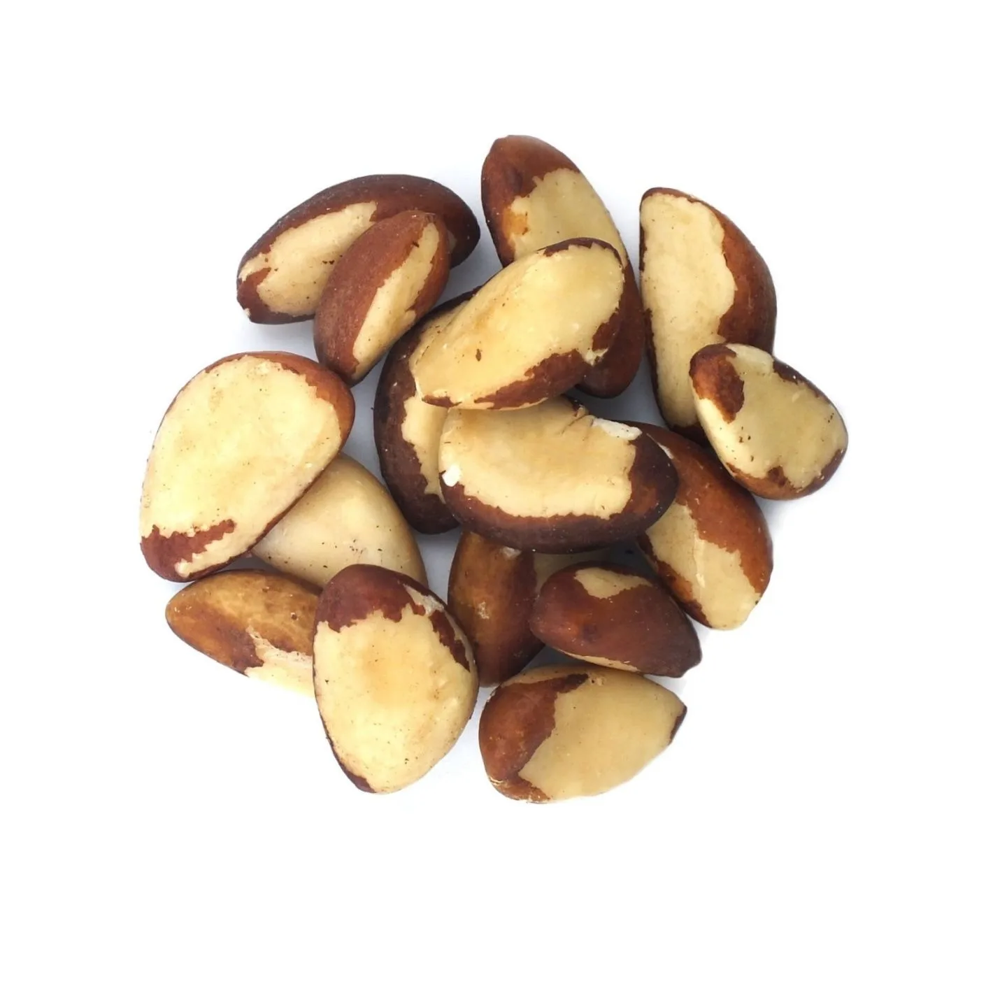 100% Pure Natural High Quality Brazil Nuts Wholesale Agricultural Brazil Nuts