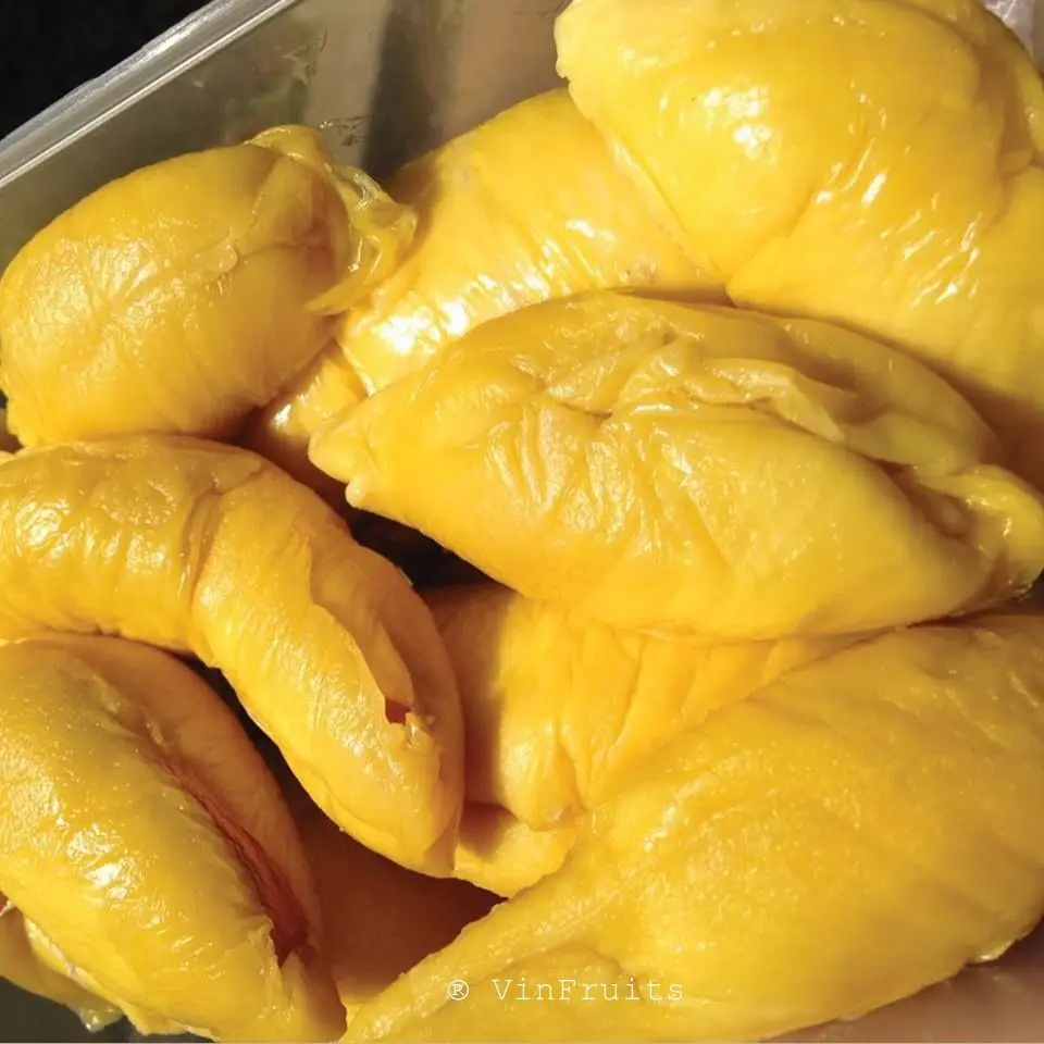 Vietnam Fresh Durian Fruit/ Frozen Fruit - Ms Holiday