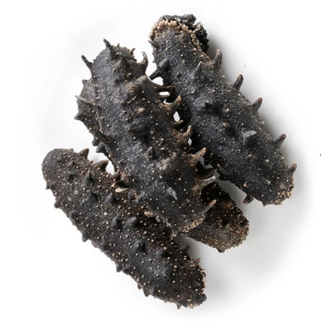 High Quality Dried and Frozen Bald Sea Cucumber, Natural Wholesaler Sea Cucumber