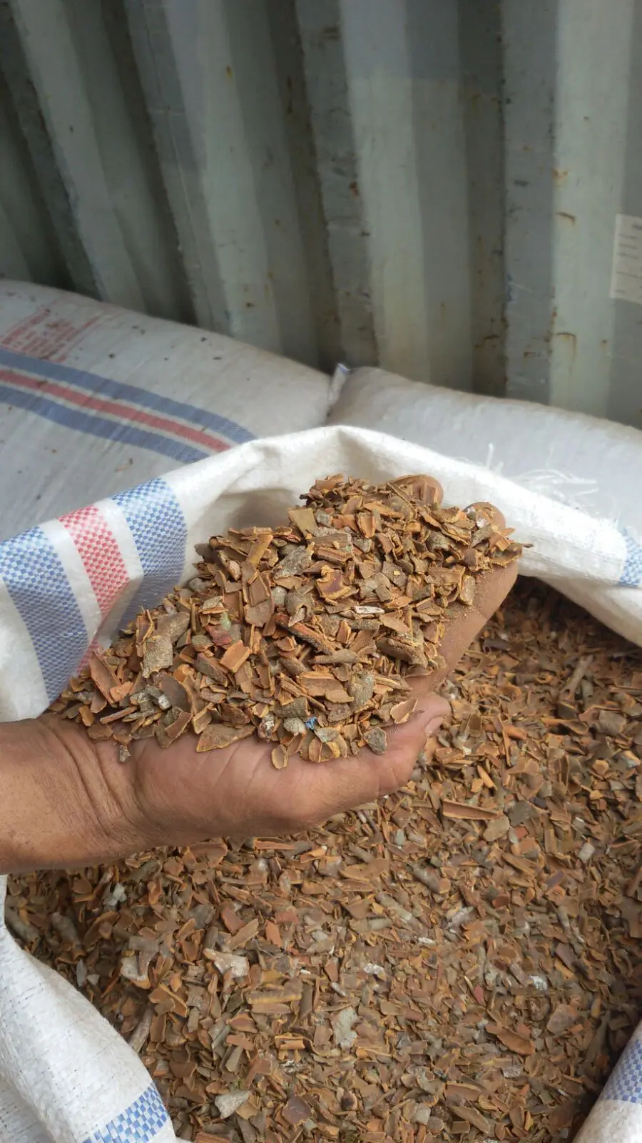  Корица Кассия кабик KBBC вера А сломанная хорошая цена и качество из Индонезии