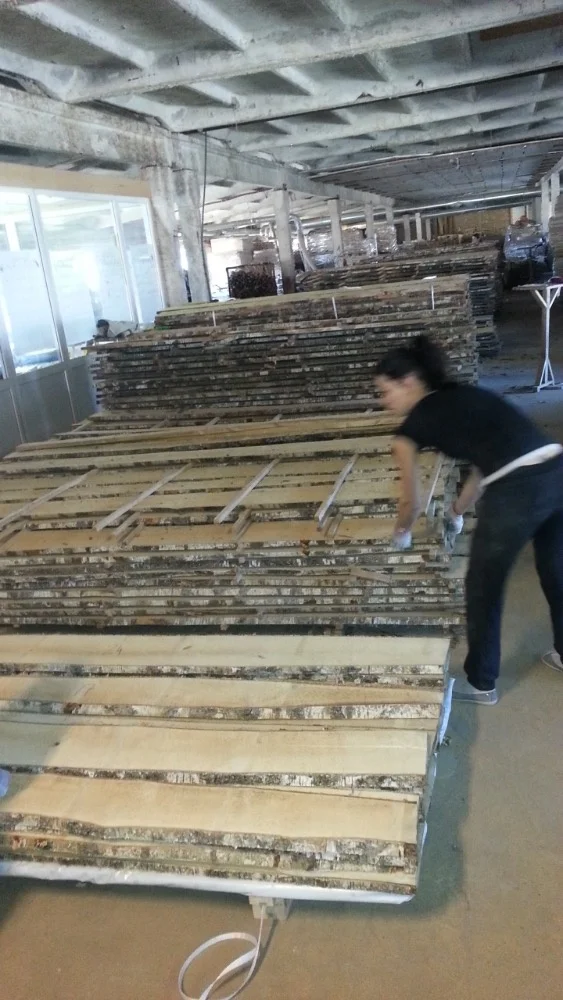 
Kiln Dried Latvian White Birch unedged lumber 