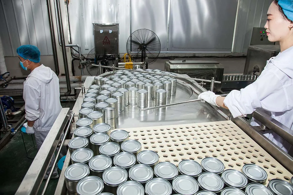 Cat Dog No Pork No Grain Halal Canned Pet Wet Food Suci Ingredients