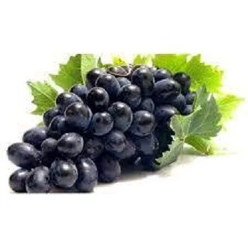 Fresh Grapes For Sell Premium Quality for sale