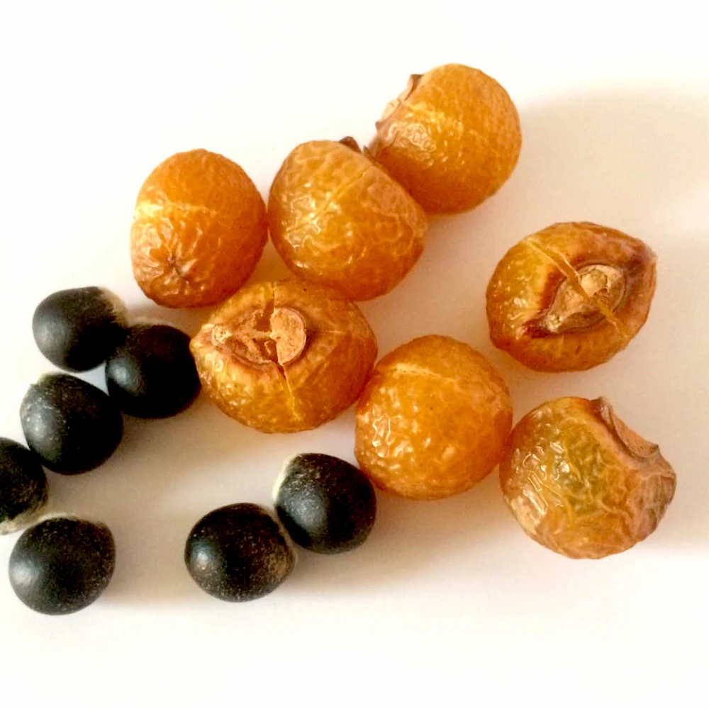  Bio waschnuss sхалen Waschnusse макияж noci del