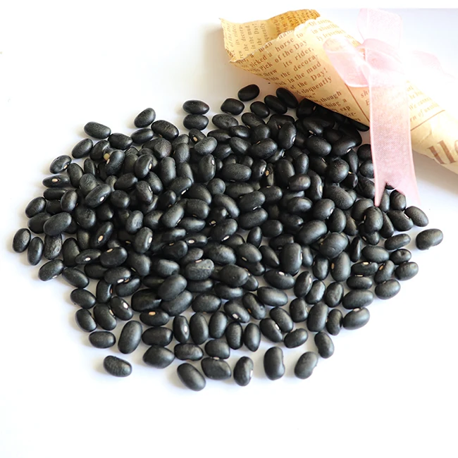 Wholesale Green Food Organic small Dry Black Kidney Beans From High Quality Soil
