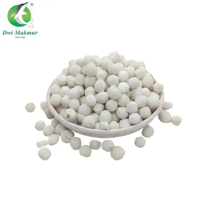 Wholesales Price Premium Grade 10x170g White Big Sago White Big Tapioca Pearls for dessert bubur caca from Malaysia