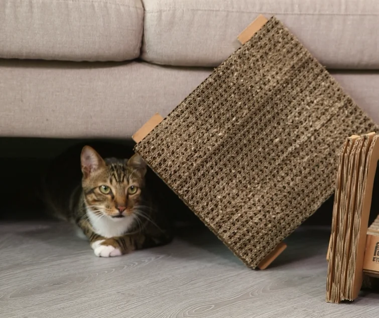 Pet Toy Cardboard Durable Cat Scratcher Board