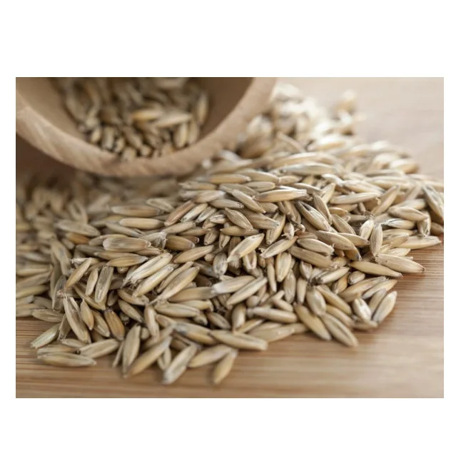 Best Quality Of Rye Grains Available Bulk at Cheapest Wholesale Pricing