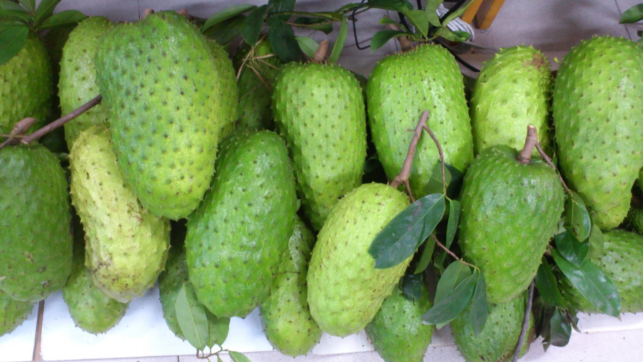 FRESH SOURSOP FRUIT GRAVIOLA FRUIT, HP : 0084 917 476 477