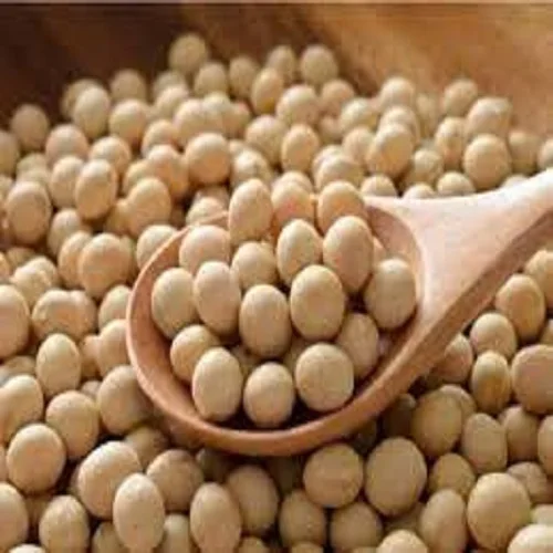 High Premium Quality Soya Beans Complete Substitute For Vegans And Vegetarians Natural Source Of Protein wholesale Direct Export