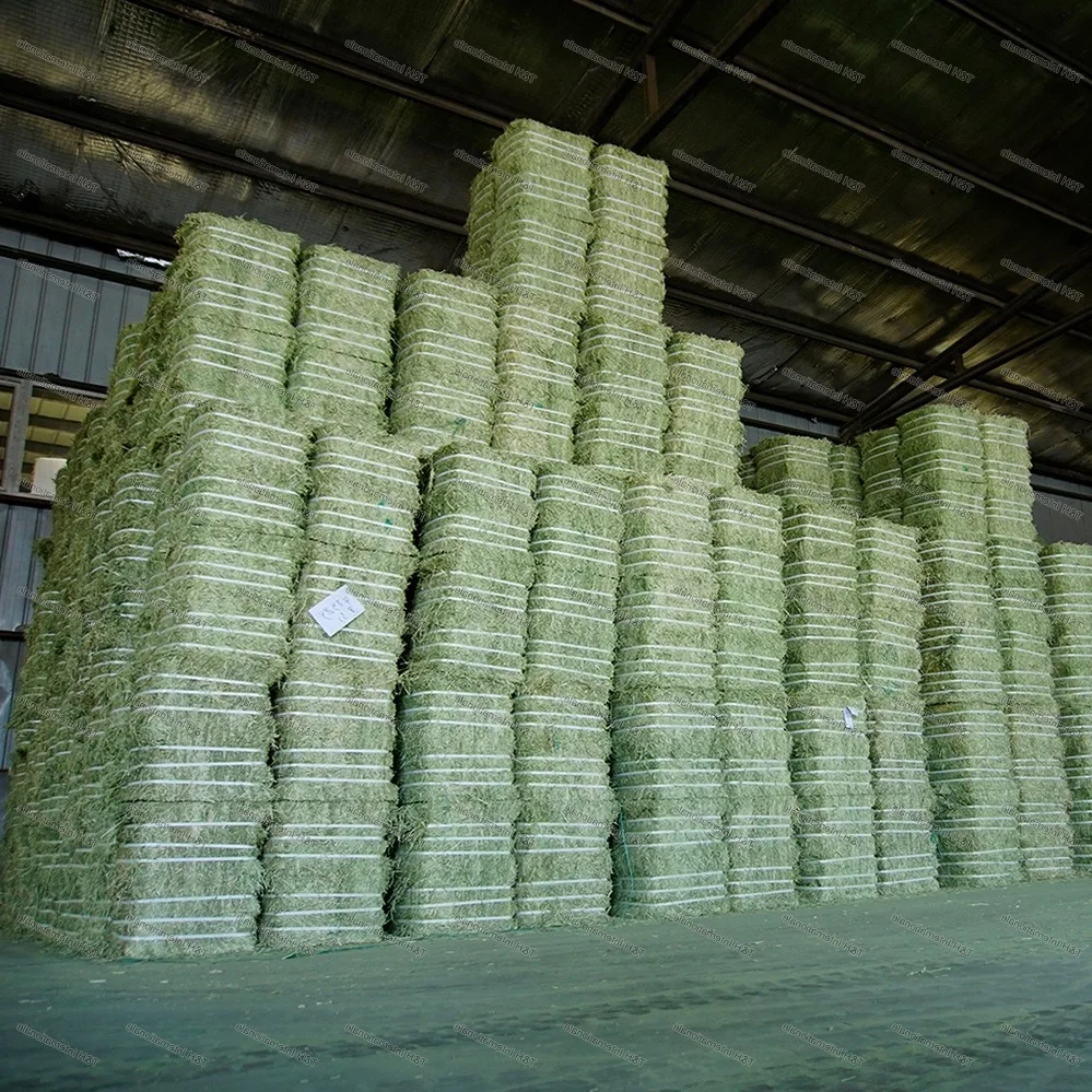 Альфальфа для употребления животных