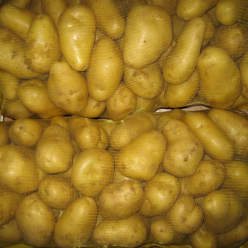 
HIGH QUALITY Fresh Potatoes for export 