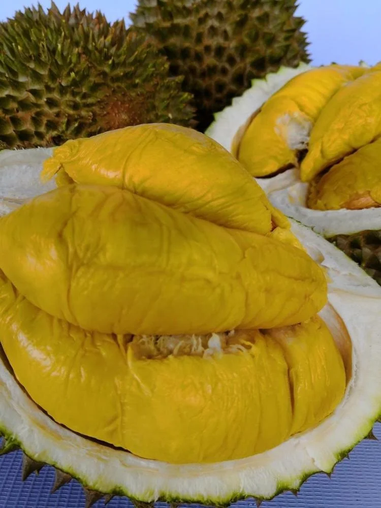 Premium Quality Frozen D197 Musang King Durian For Export Durian Malaysia Frozen Durian High Grade Flesh