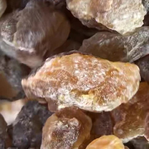 Крупные частицы Olibanum и frankincense из смолы frankincense и масла frankincense