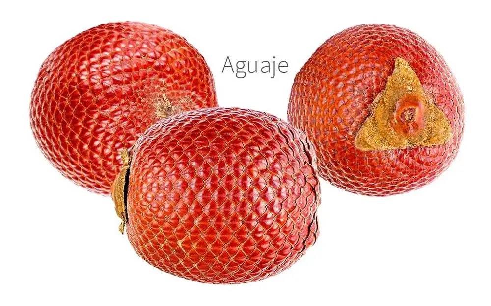 
AGUAJE FRUIT powder for wholesale and exports 