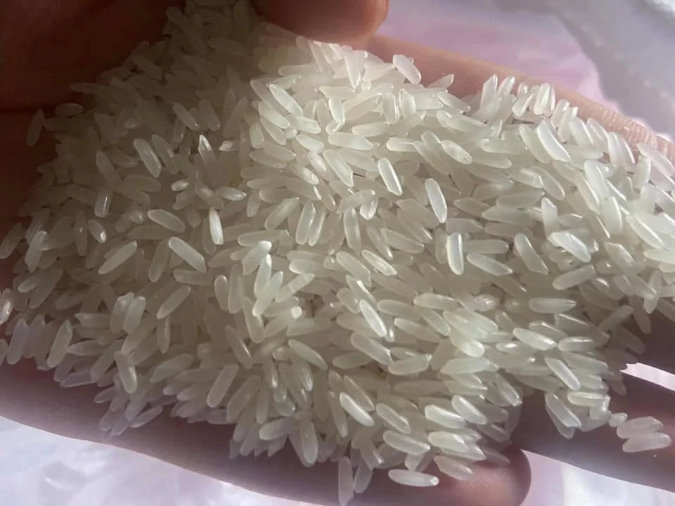 
Ready To Ship Popular Long Grain White Rice 5% Broken OEM Order Milled And Sortexed Rice 