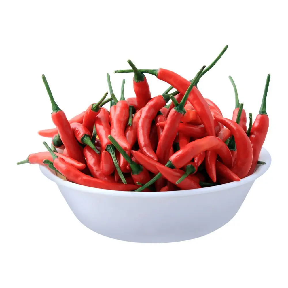 Best Quality Fresh Chili Hot Spicy Red Fresh Chili Pepper Cheap Price Vietnam Agri