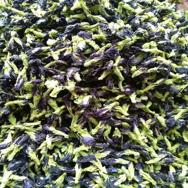 
Organic Butterfly Pea Tea USDA & EU Organic Certified Premium Herbal Organic Tea Wholesale From Thailand Butterfly Pea Flower 