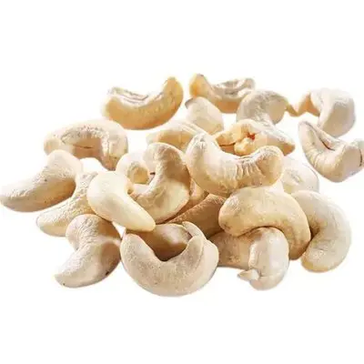 Dried style and raw processing kind CASHEW KERNEL
