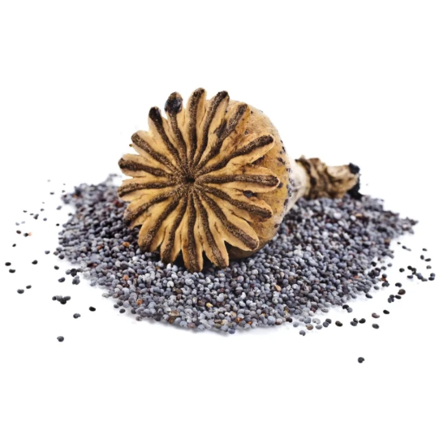 High Quality Organic Dried Poppy Seeds