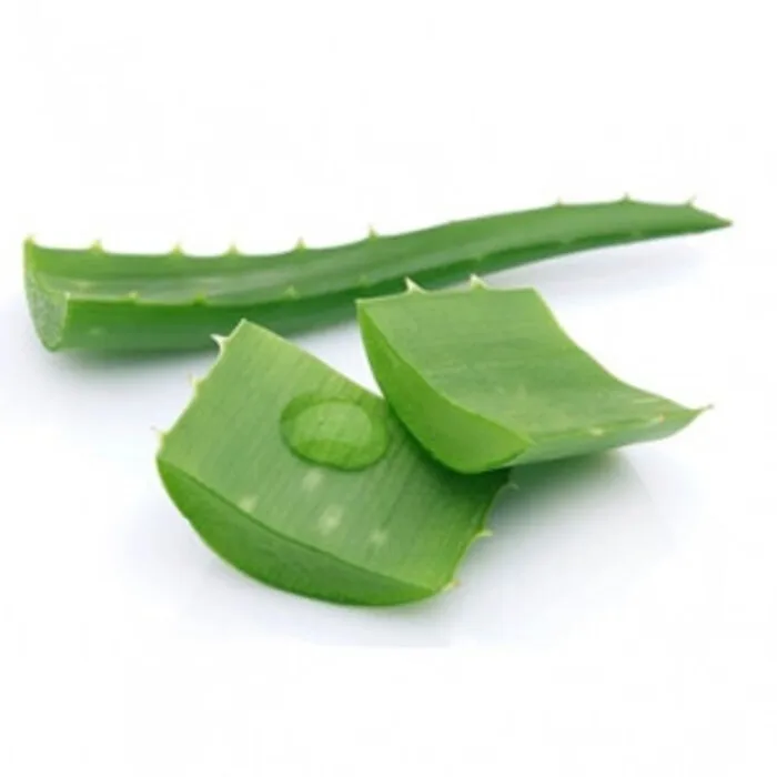 FRESH EXTRACT Vietnam Fresh Aloe Vera gel bulk  leaf organic for juice powder cleanser nature republic skin Healthy Material