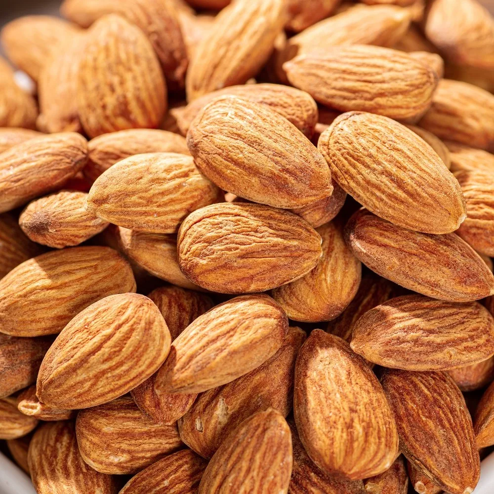 Best Quality Californian Almond Nuts Price / Almond Kernel / Almond Wholesale Price For Sale