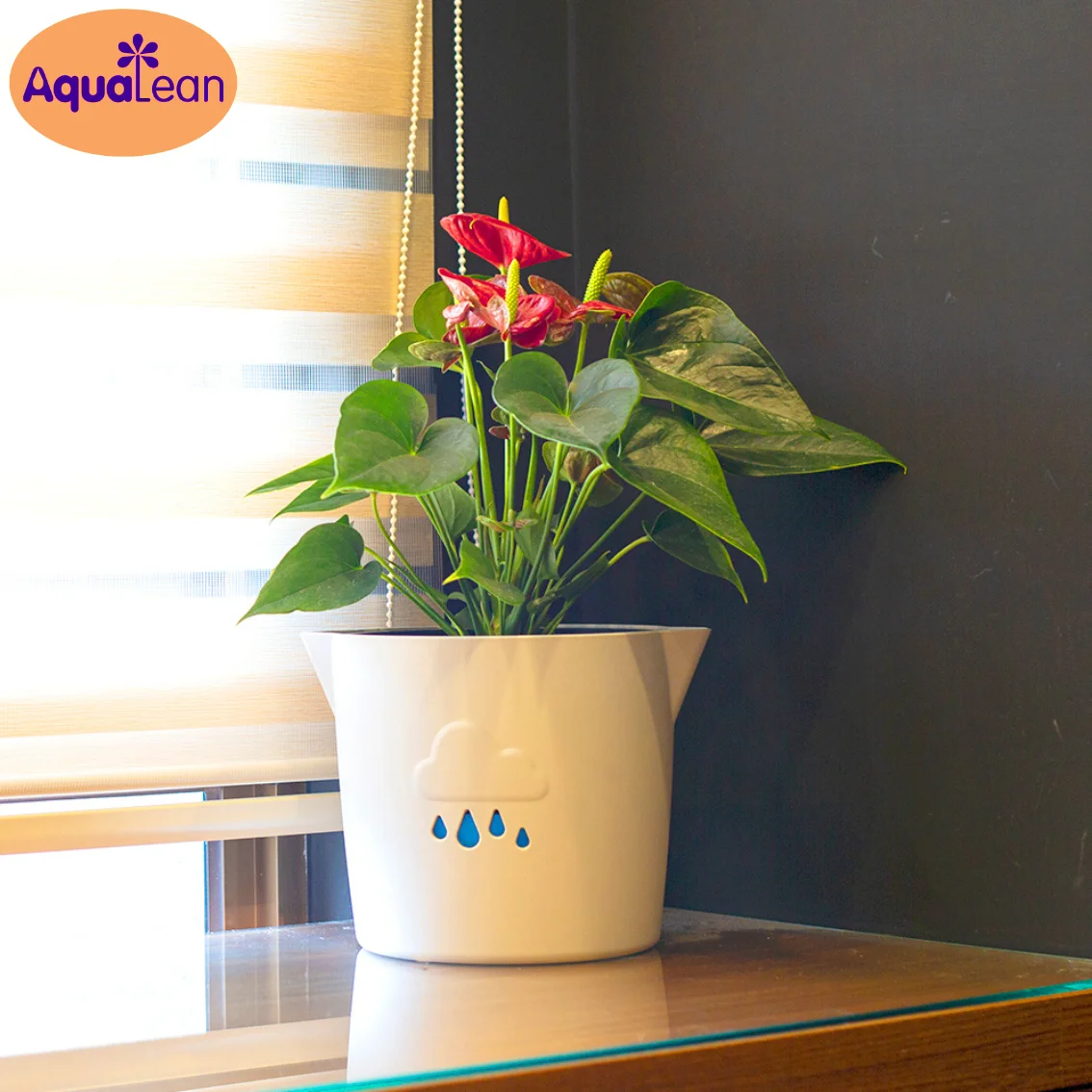 Лидер продаж кастрюля для растений с самополивом Aqualean flow mark
