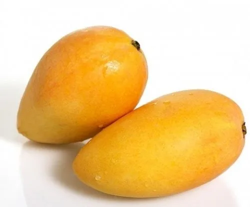 Fresh Mango High Quality Vietnam Fresh Fruit Mango Cheap Price