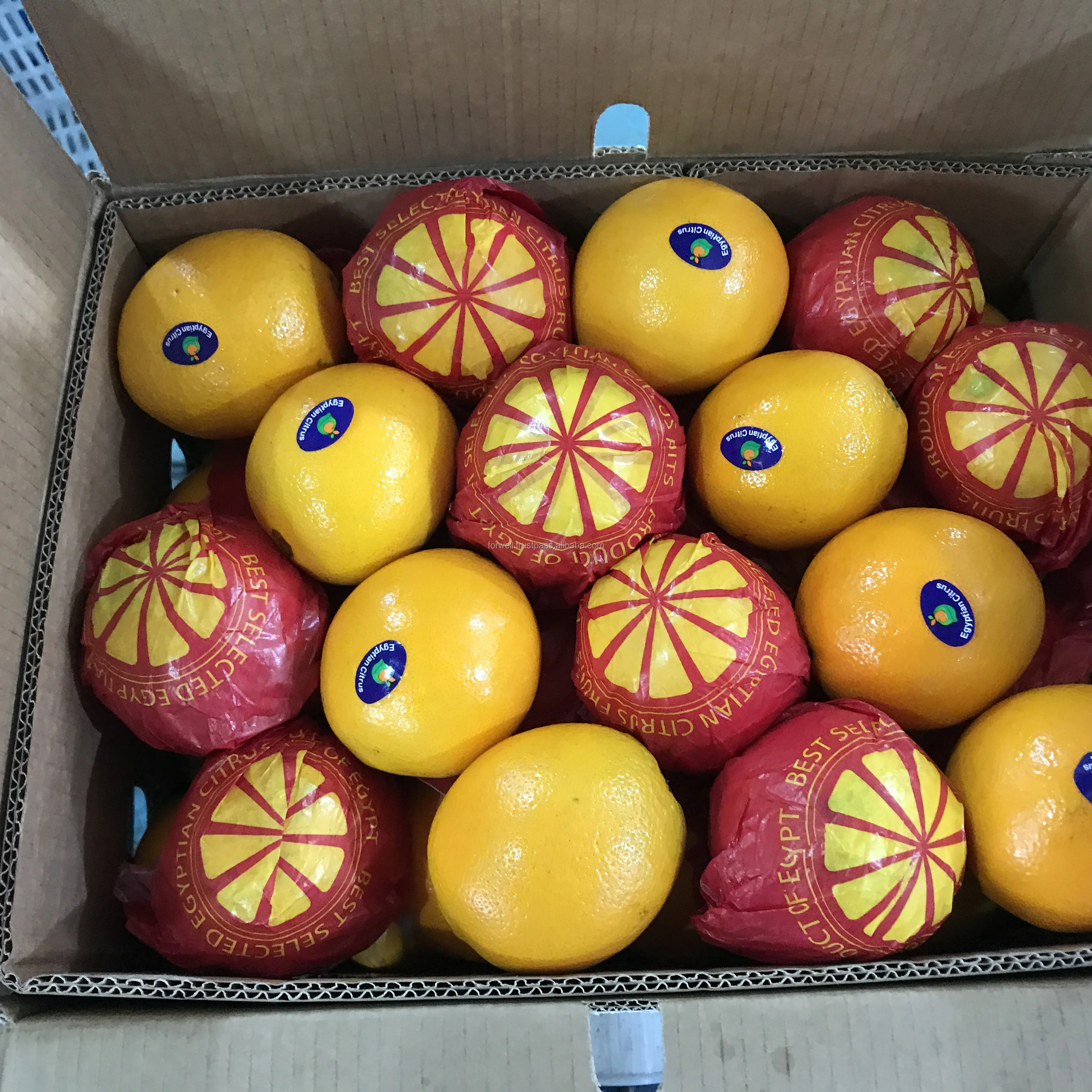 buy online fresh orange with low cost from Egypt