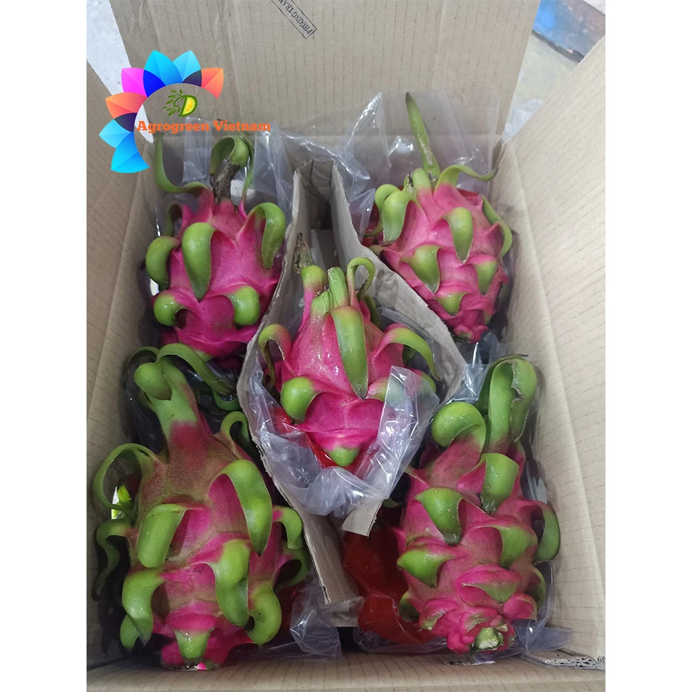 Dragon Fruit Juice Concentrate Red Dragon Fruit Puree From Vietnam