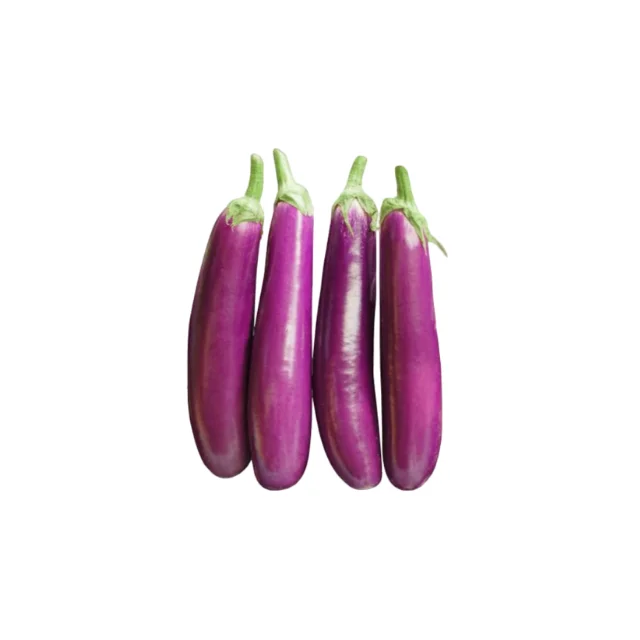 
Top Grade Indonesian Organic Purple Egg Plant for Quality Export Whatsapp+6287878942750 