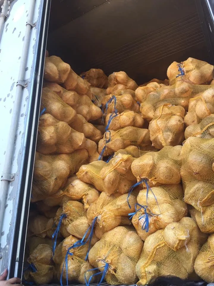 Высококачественный полуочищенный кокосовый орех/кокосовый орех