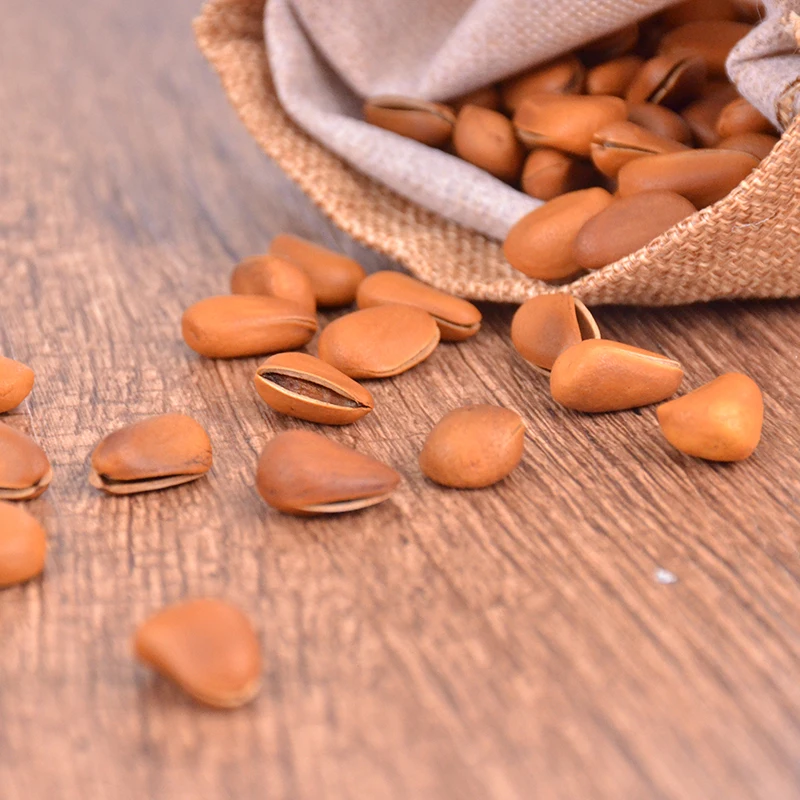 Best raw pine nuts siberian exporter