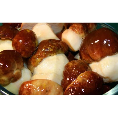 Eco-Friendly Very Popular Plastic Buckets Packaging Pickles Ceps (Boletus Edulis) Grown in Clear and Wild Forests