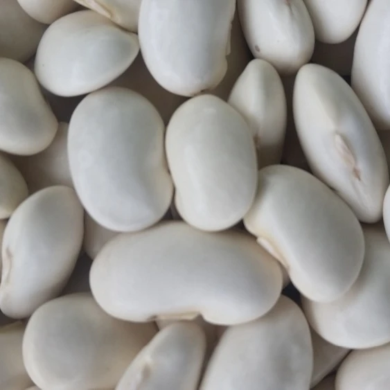 
Butter Beans Good Prices Dried Price of White Bag Bulk Style Packaging Color Weight Woven Shelf Type Life Product Cultivation 