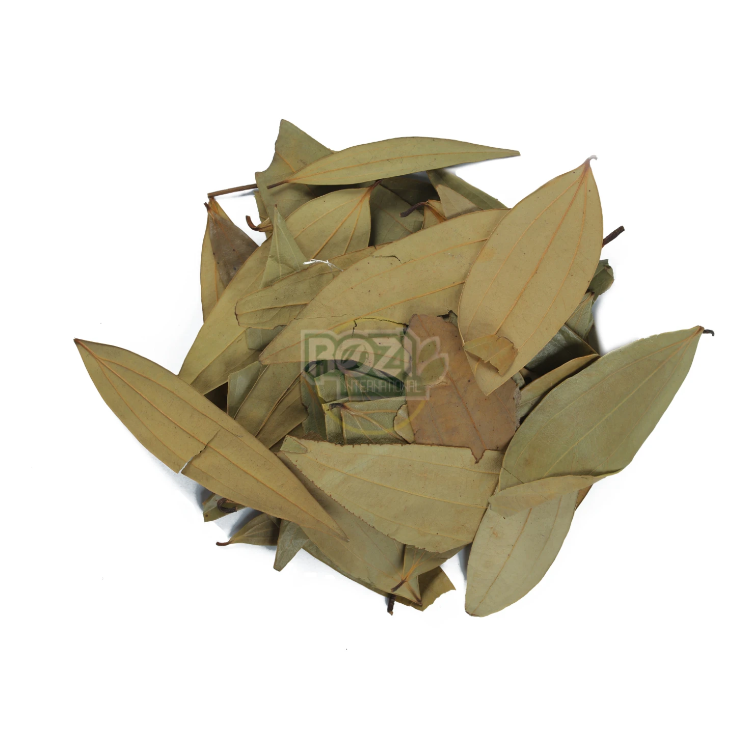 Bay Leaf / Tez Patta