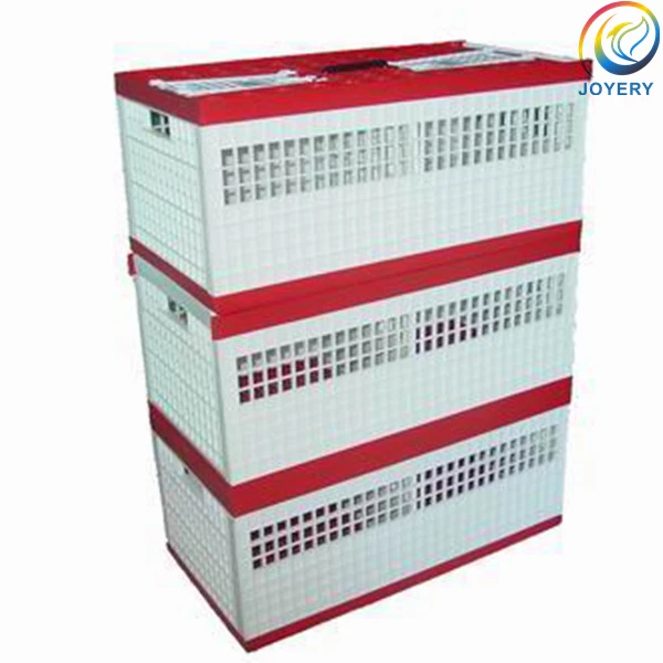 High quality Multi-size Three Colour Foldable Plastic Pigeon Transport Cage pigeon accessories