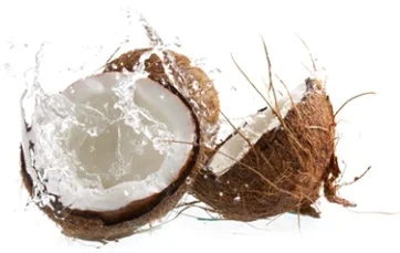 Чистый натуральный экстракт от производителя горячая Распродажа частная торговая марка уход за кожей оптом Экстра девственное кокосовое