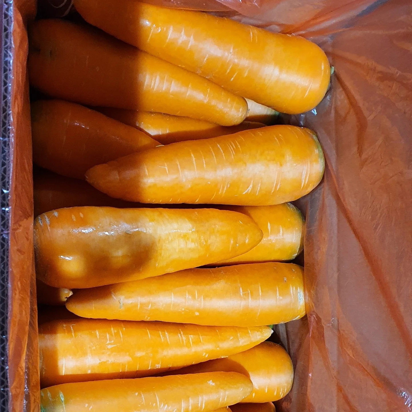 Vietnam fresh carrot