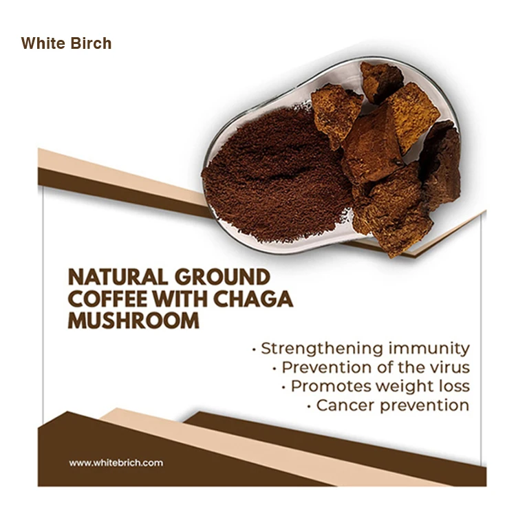 Best Quality Herbal Ingredients Chaga Mushroom Extract Chaga with Coffee Mushroom Powder