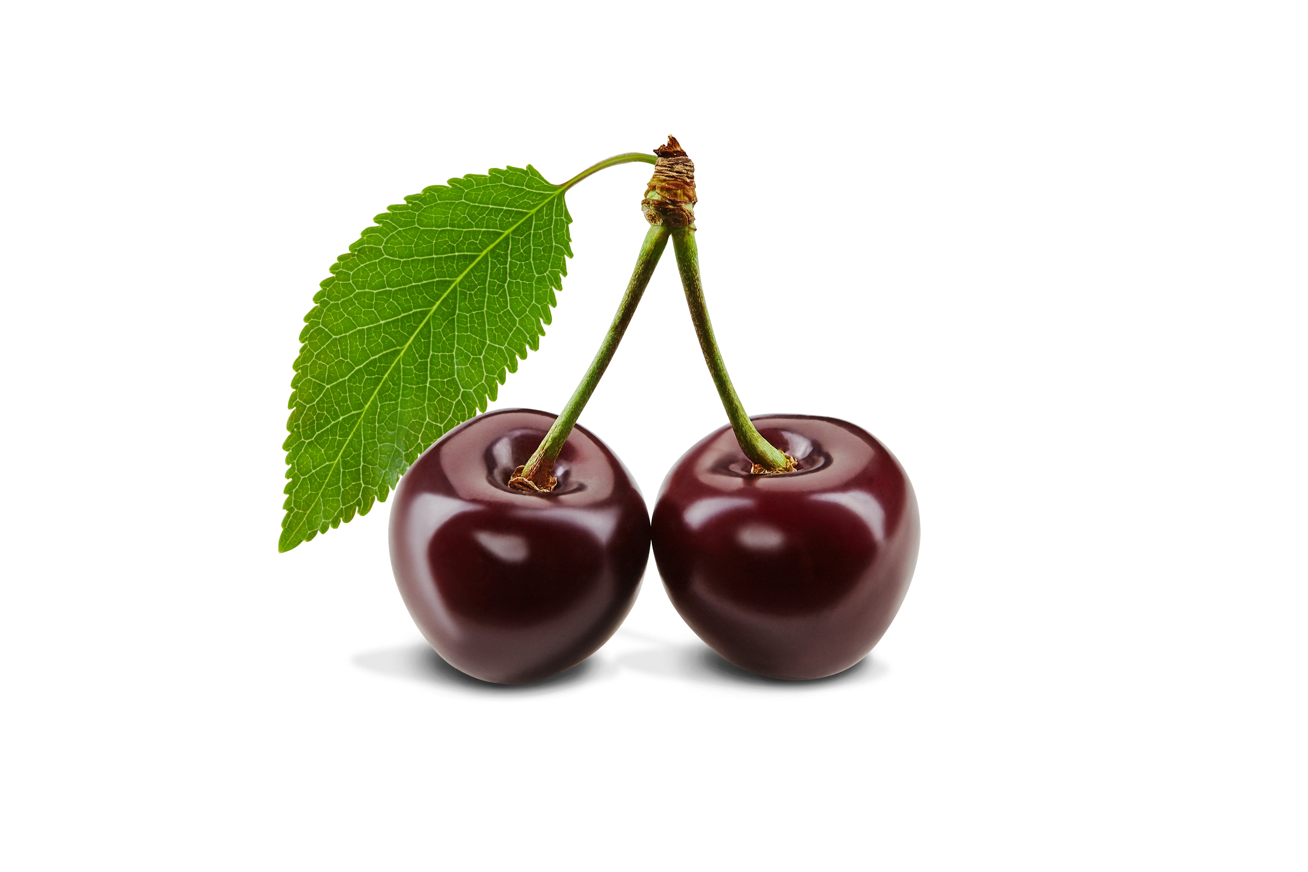 % 100 натуральный красный цвет, оригинальные свежие фрукты из индейки, продукт Джамбо класса, сладкое культивирование, обычные Халяльные вишни